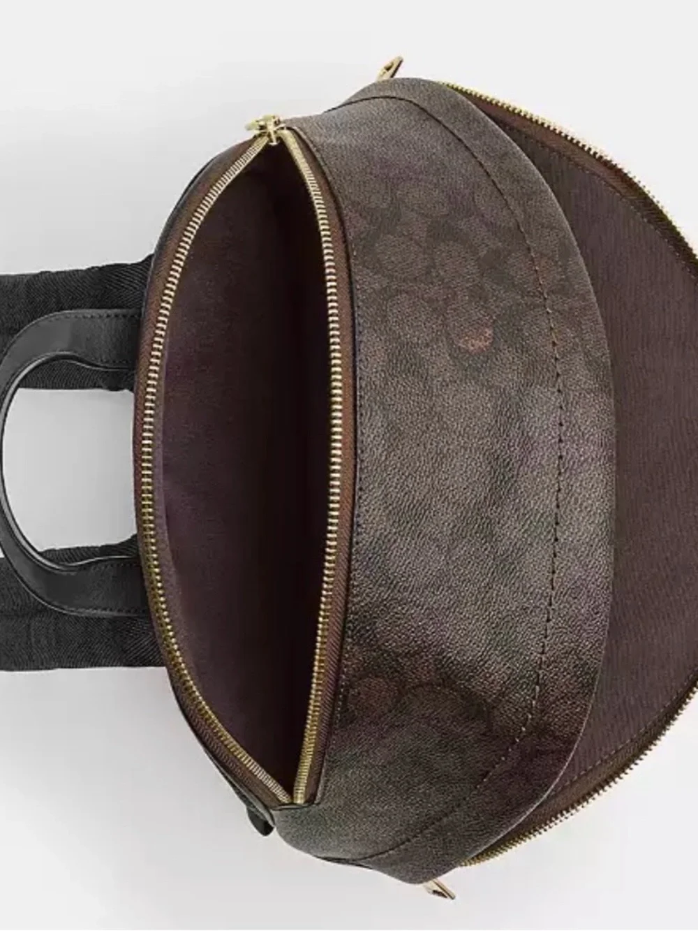 Coach Taylor Backpack In Signature Canvas